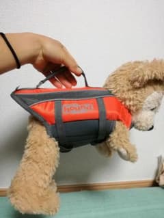 犬用　ライフジャケット　XSのサムネイル