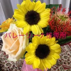 ポーラ☆バレーリーナ様専用のサムネイル
