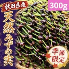 ミズコブ、みずこぶ、みずの実、山菜、南部産1,2kg 新鮮山菜】天然みずの実 ミズのコブ 300g以上⑫ - メルカリ
