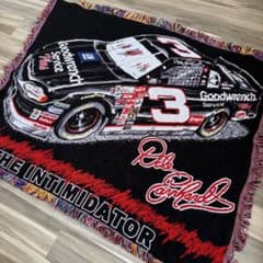 90s ナスカー ジ・インティミデーター デイル・アーンハート USA製 ラグ 90s ナスカー ジ・インティミデーター デイル・アーンハート USA製