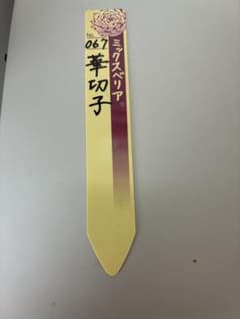 ミックスベリア 華切子 067 札のみのサムネイル