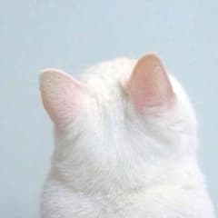 おとね様専用のサムネイル