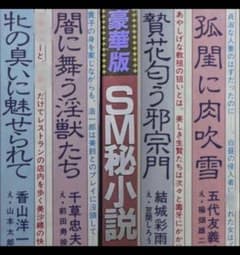 絶版】◯小説 H6年3月 千草忠夫 結城彩雨 前田寿按 楡畑雄二 椋陽児