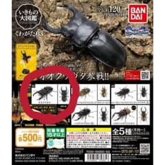 いきもの大図鑑 くわがた3 オオクワガタのサムネイル