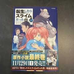 転生したらスライムだった件 30のサムネイル