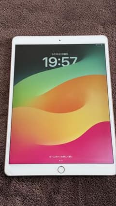 大容量512GB iPad Pro 10.5 ゴールド シャッター無音 動作良好 大容量512GB iPad Pro 10.5 ゴールド シャッター無音 動作良好 - メルカリ