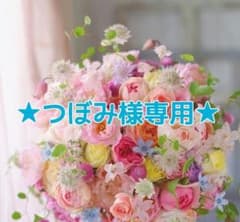 ★つぼみ様専用★のサムネイル