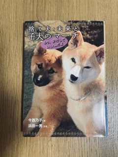 捨て犬・未来と子犬のマーチ 今西乃子 浜田一男のサムネイル
