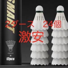 【5ダース60個】【激安】ボロボロ　羽もかけてる　バドミントン シャトル 5ダース60個】【激安】ボロボロ 羽もかけてる バドミントン シャトル 5