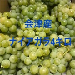 ナイアガラ4キロ箱 ぶどうのサムネイル