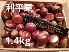 埼玉県産生栗　利平　小粒 〜中粒中心　1.4kg以上のサムネイル