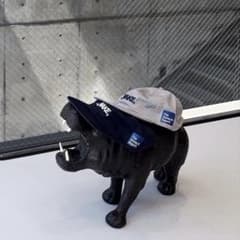 wake. sapporo Cap allweatherproof グレー WAKE Cap by allweatherproof ビジターグレー - メルカリ