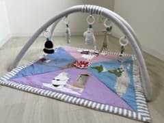 MOOMIN BABY アクティビティプレイジムのサムネイル