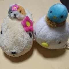 ココモモ様のサムネイル