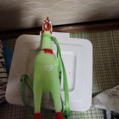 GReeeeNライブグッズのサムネイル
