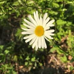 かず様専用ページのサムネイル