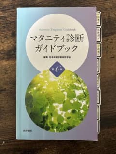 マタニティ診断ガイドブックのサムネイル