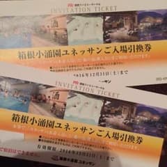 残り1枚！箱根ユネッサン 入場引換券 お値打ち価格！のサムネイル