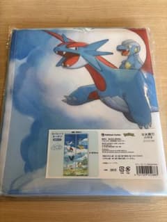 ポケモンセンター セパレートカーテン Soaring Dreams - メルカリ