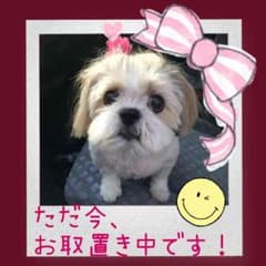 ちゃる。色々出品してます‼︎様専用です！【11月20日迄】のサムネイル