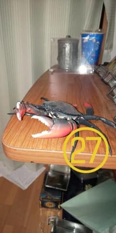 昆虫大図鑑フィギュアのサムネイル