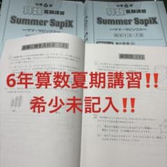 ㉑わ　SAPIX サピックス　上位クラスメイン　夏期講習　サマーサピックス ㉑わ SAPIX サピックス 上位クラスメイン 夏期講習 サマーサピックス