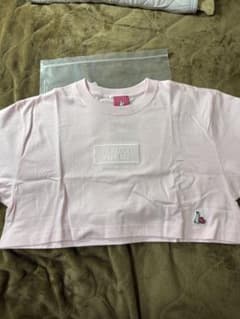 fr2 梅　ピンク クロップドTシャツのサムネイル