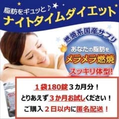 【限定特価！】燃焼系サプリ！ナイトタイムダイエット！180粒（約３か月分）のサムネイル