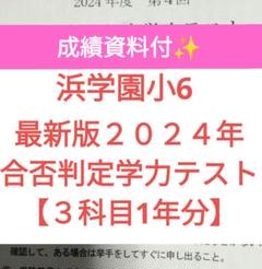 浜学園小6最新版2024年合否判定学力テスト【3科目】成績資料付