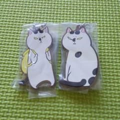 犬と猫どっちも飼っていると毎日たのしいのサムネイル