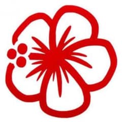 専用のサムネイル