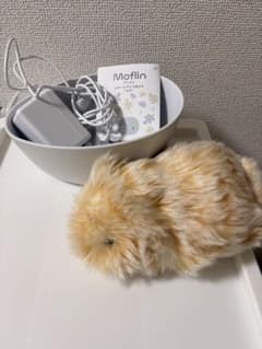 値下げ◯　Moflin（モフリン）　箱なし 値下げ◯ Moflin（モフリン） 箱なし - メルカリ