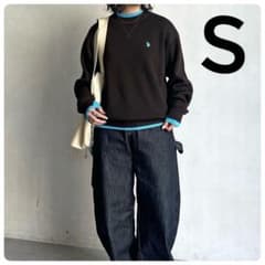【極美品】【U.S. POLO ASSN.】配色レイヤークルーニット タグ付きのサムネイル