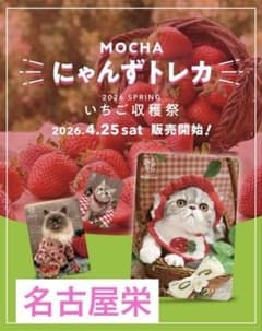猫カフェ mocha いちご収穫祭 トレカ 名古屋栄店 - メルカリ