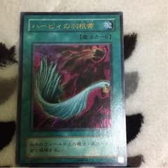 ハーピィの羽根箒のサムネイル
