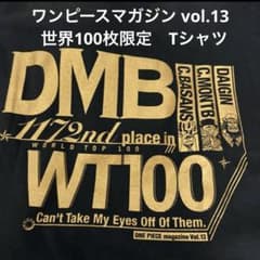 ワンピースマガジンvol.13 世界100枚限定当選品 激レアTシャツ 希少 