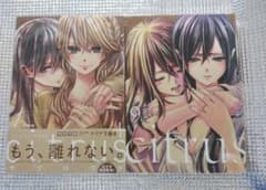 空様専用　　citrus サブロウタ 1巻 クリア下敷き　9巻 特装版のサムネイル