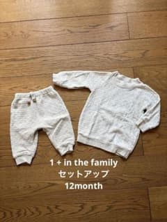 1 + in the family セットアップ　12month 定価16000