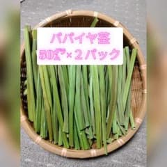 乾燥 パパイヤ 茎 50g✕2 - メルカリ