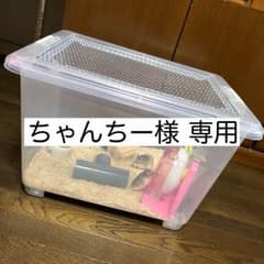 ちゃんちー様 専用のサムネイル