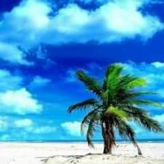 Too 様専用ページのサムネイル
