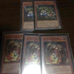 ティオの蟲惑魔  トリオンの蟲惑魔のサムネイル