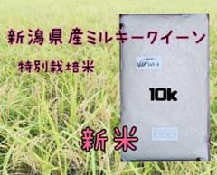 特別栽培米新潟県産ミルキークイーン10k - メルカリ