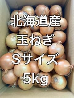 北海道 岩見沢産 玉ねぎ Sサイズ 5kgのサムネイル