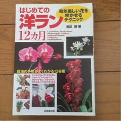 はじめての洋ラン12ヶ月  美品  本のサムネイル