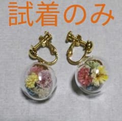 ドライフラワー入り イヤリング 球体アクセ ハンドメイドのサムネイル