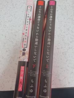 BL漫画 3冊セット ちふゆ 三ツ矢凡人のサムネイル