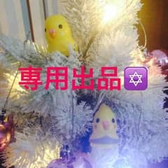 ♥♥♥様専用出品ですのサムネイル