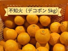 静岡県産 不知火（デコポン）優品5kg 減農薬のサムネイル