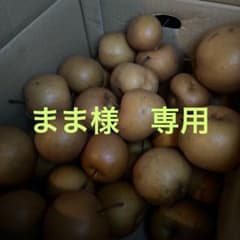 梨　変形した物や小さな物ですのサムネイル